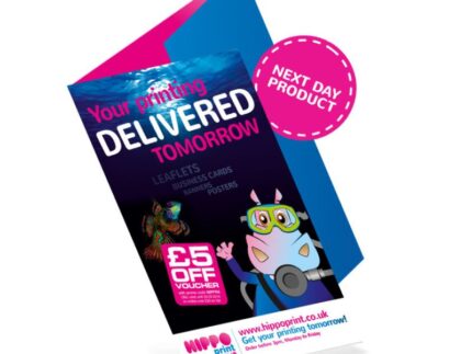 Next-Day Flyers